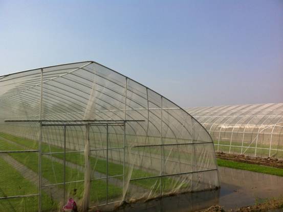 蔬菜大棚防虫网