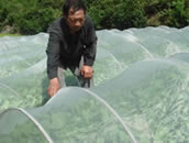 蔬菜水果防虫网