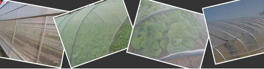 防虫网已经被全国各地的用户接受了