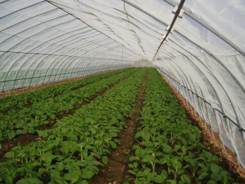 1657983385522789.jpg QQ截图20220716225740.jpg