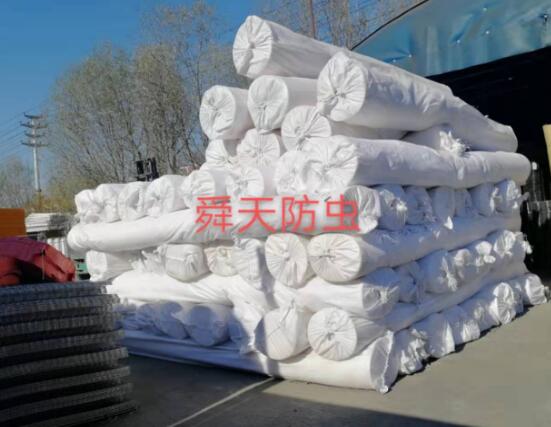 防虫网是环保型农业新技术