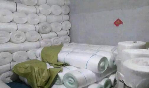 防虫网叶菜如此受捧