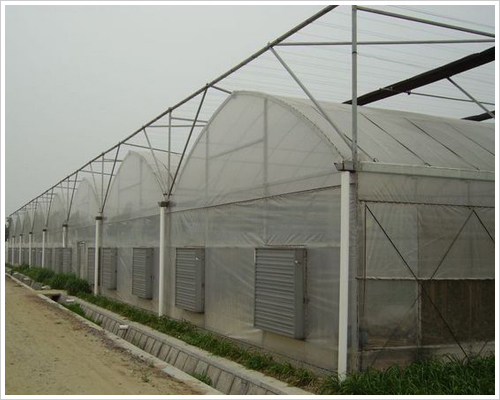 大棚防虫网厂家/大棚防虫网价格