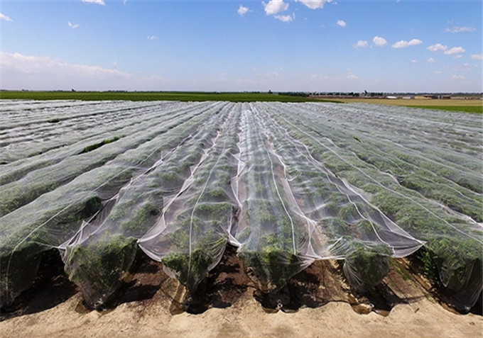 防雹网/新疆防雹网/果树防雹网