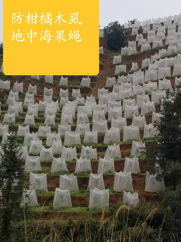 赣州防虫网大量发货